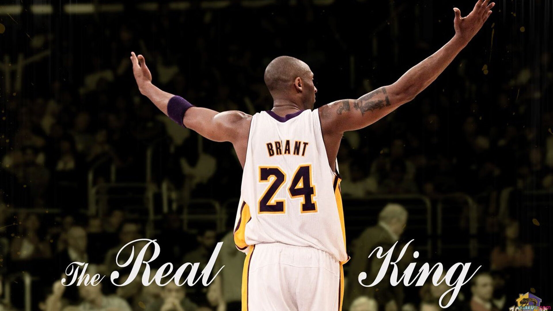 精彩赛事！两支顶尖球队将在球场上较量，顶级球场